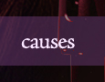 lacy mandigo important causes and charities